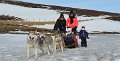 Dog sledding (18)